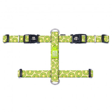Peitoral Kiwi para perros -...