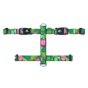 Arnés Tropical para perro –...