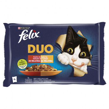 Felix Duo - Selección del...