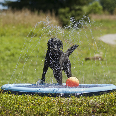 Piscina Splash para perros...