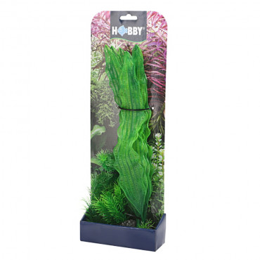 Kit de plantas para acuario...