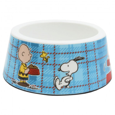 Taza Snoopy y Charlie Brown...