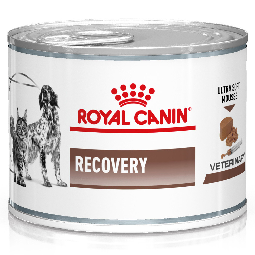 Recovery  Royal Canin ES