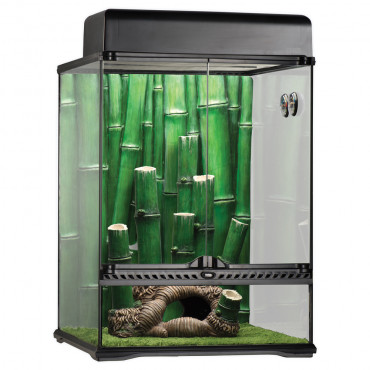Kit Terrario Bamboo Forest...