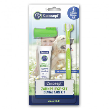 Kit de higiene dental para...
