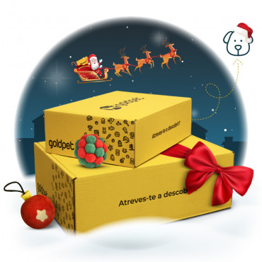 GOLDBOX de Navidad - Perro