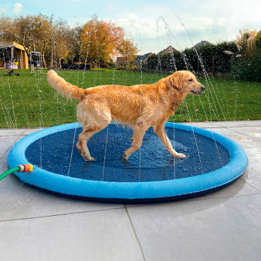 Piscina Splash para perros...