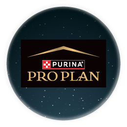 Pro Plan