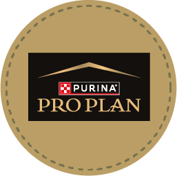 Pro Plan