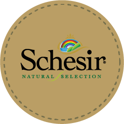 Schesir