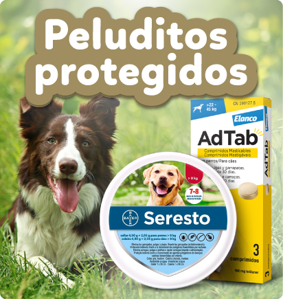 Antiparasitarios para perros