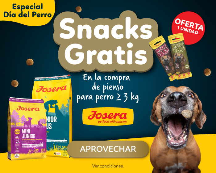 Snacks gratis para gato