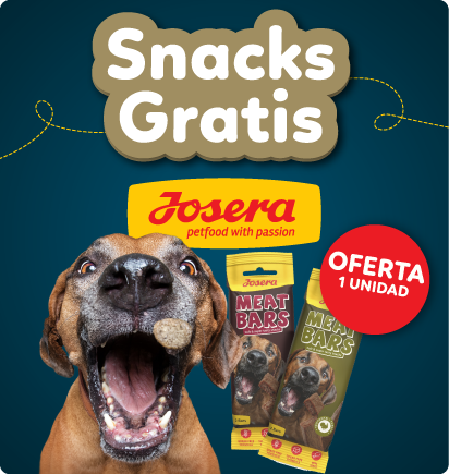 Snack Gratis