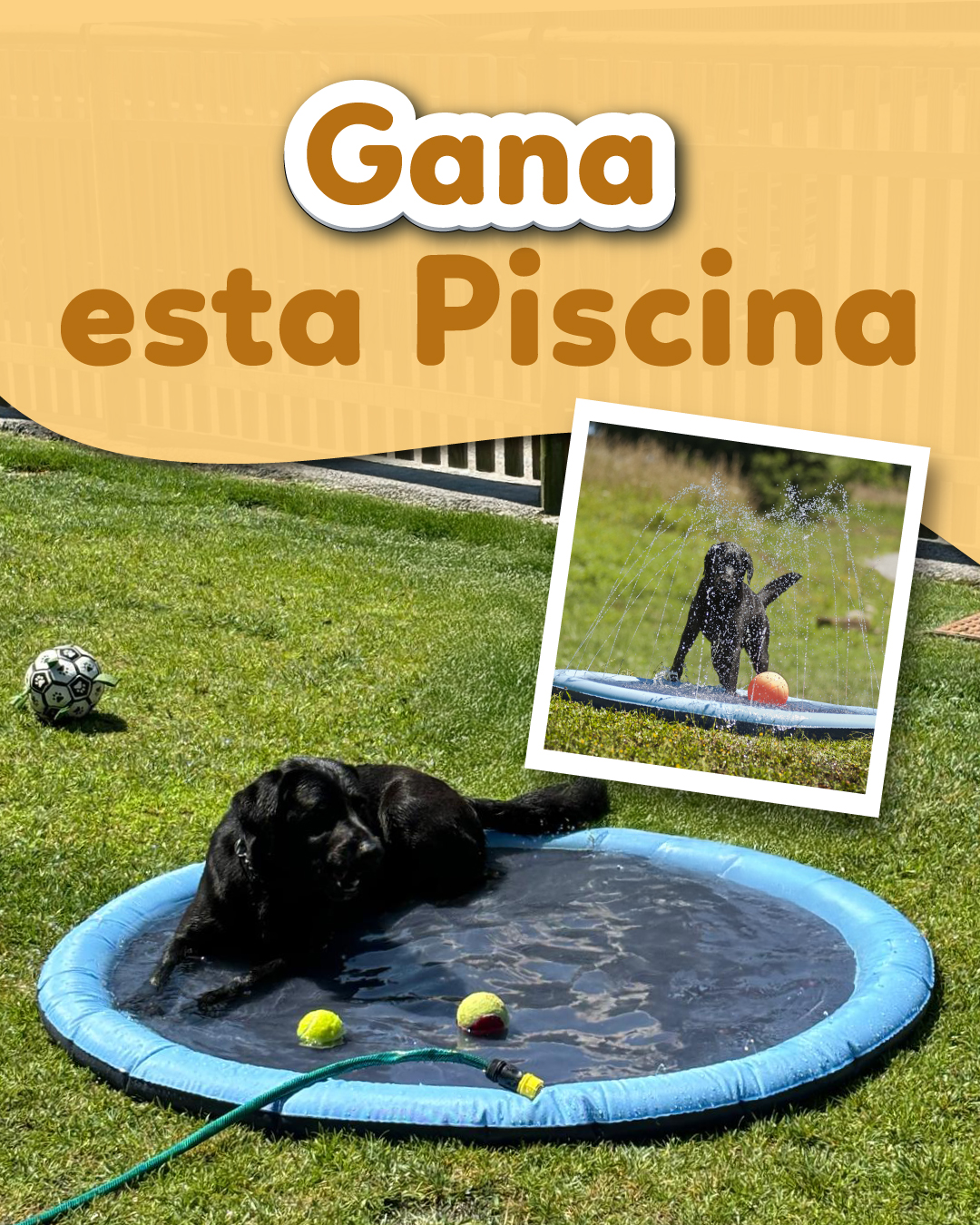 Sorteo