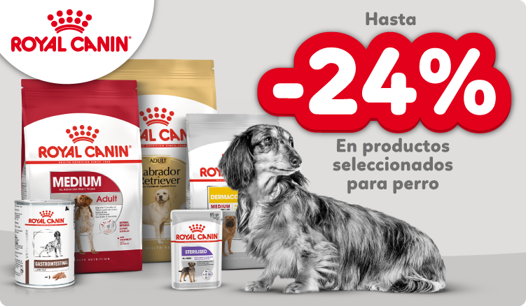 Royal Canin Perro
