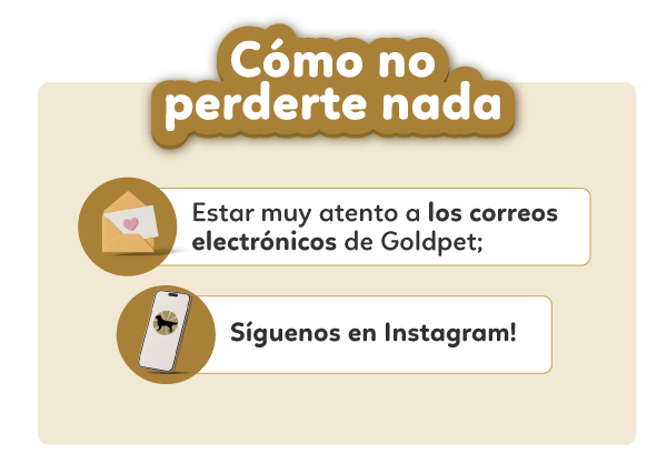 Como no perderte nada