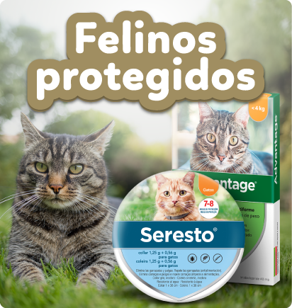 Antiparasitarios gatos