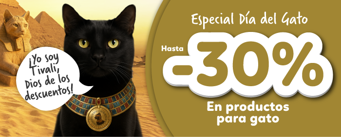 dia del gato