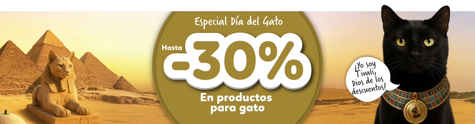 dia del gato