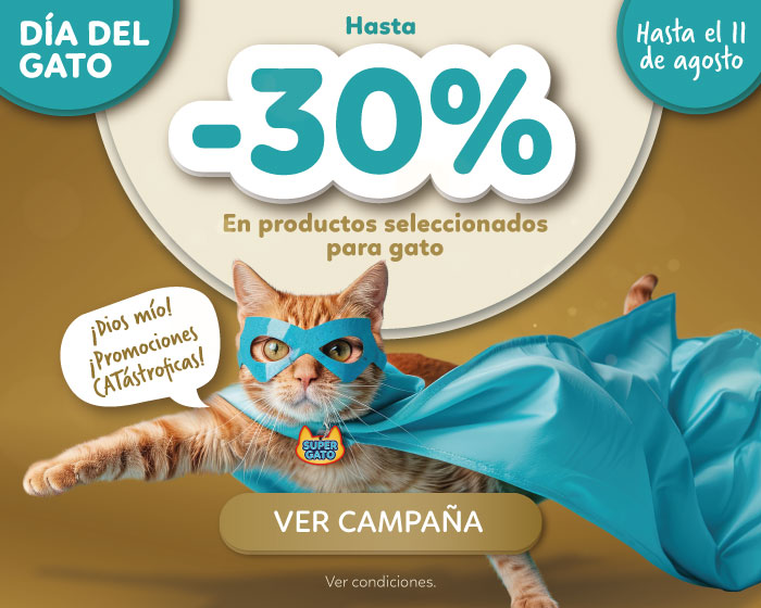 dia del gato