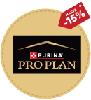Pro Plan