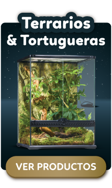 Terrarios y tartarugueras
