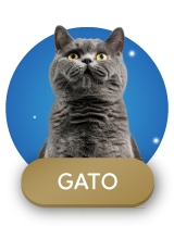 Descuentos para gatos