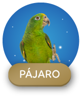 Descuentos para pájaros