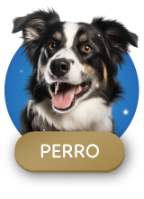Descuentos para perros