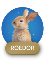 Descuentos para roedores