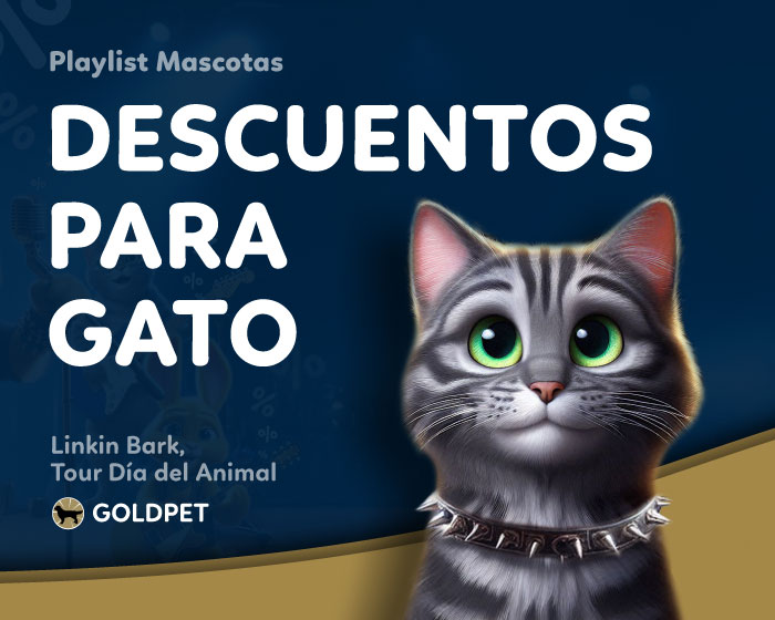 Descuentos para Gatos