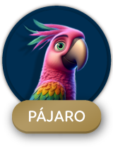 Pajaro