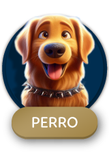 Perro