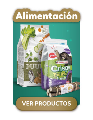 Alimentacion