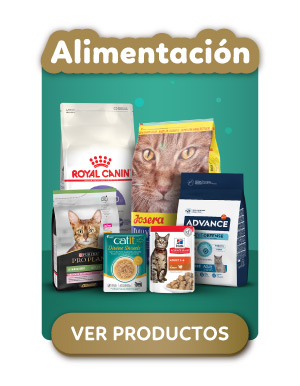 Alimentacion