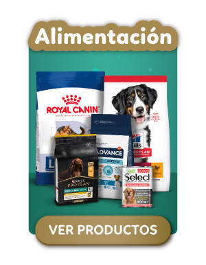 Alimentacion