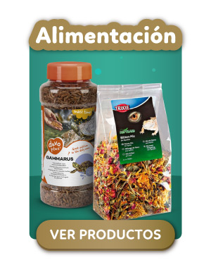 Alimentacion