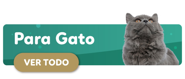 Descuentos de Gato