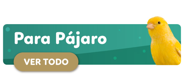 Descuentos Pajaro
