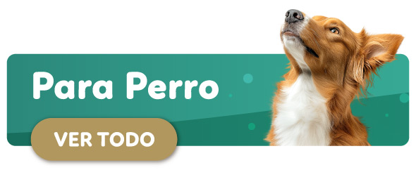 Descuentos de Perro