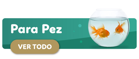 Descuentos para Peces