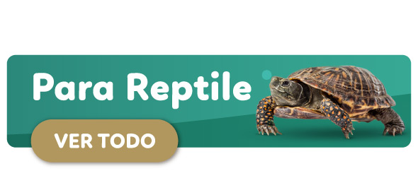 Descuentos Reptile