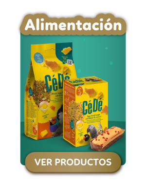 Alimentacion