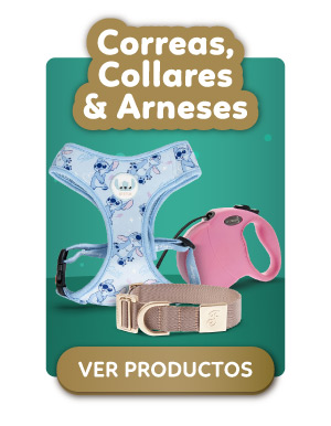 Correas
