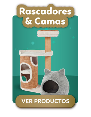 Rascadores