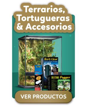 Terrarios