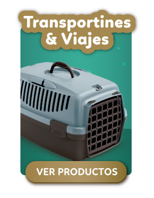 Transportines