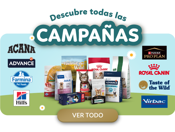 Más Campañas