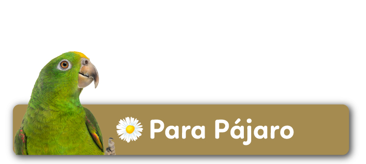 Para Pájaro