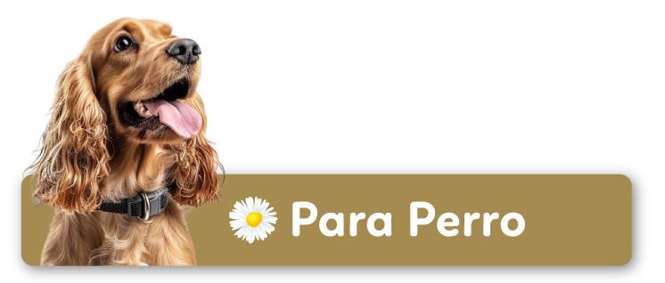 Para Perro